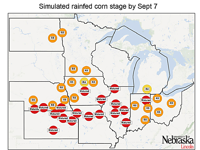 Non-irrigated corn is either close to or at maturity and safe from frost. Irrigated corn soon will be in the same category. (UN-L Graphic by Scott Kemper)