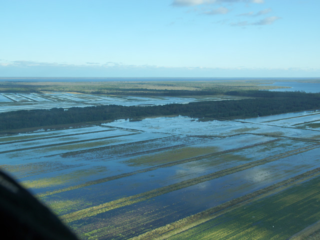 Hurricane Matthew flooded these fields in Tyrell/Washington County, North Carolina, last week. (Photo courtesy of Todd Boyd, Pinetown, North Carolina)