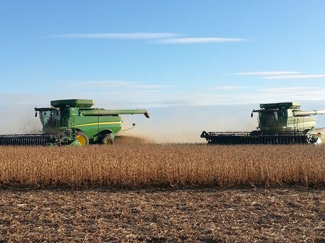 Soybean harvest is in late stages, with progress lagging in the northern and western Midwest. (DTN photo courtesy Elaine Kub)