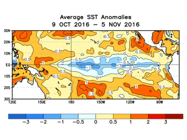 Central Pacific Ocean temperatures are consistently at cool-value thresholds to support identifying a La Nina. (NOAA graphic by Nick Scalise)