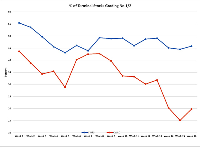 This chart highlights the weekly trend of licensed terminal CWRS wheat stocks grading No. 1 and No. 2 as a percentage of total wheat stocks (blue line), along with the trend in terminal durum stocks grading No. 1 and No. 2 as a percentage of all durum stocks (brown line) for the 2016/17 crop year. (DTN graphic by Scott R Kemper)