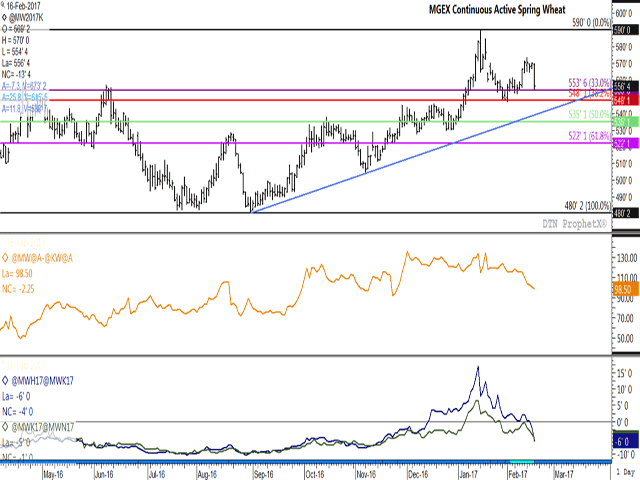 Spring wheat led the three wheat markets lower Thursday with a 14-cent move lower in the May contract. Retracement support on the continuous contract lies at $5.53 3/4/bu., then again at $5.48/bu. The continuous active spread between spring wheat and hard red winter (middle study) has slumped to its lowest level since late November at 98 cents, while the lower-study shows the March/May spread (blue line) and the May/July spread (green line) both closing at a carry. (DTN graphic by Nick Scalise)