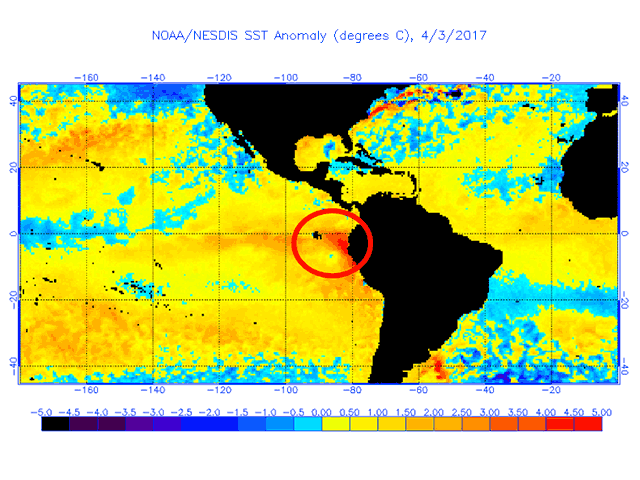 Equatorial Pacific temperatures off the South America coast are well-above normal, and appear to have jump-started El Nino weather happenings in the Americas. (NOAA/NESDIS graphic by Nick Scalise)