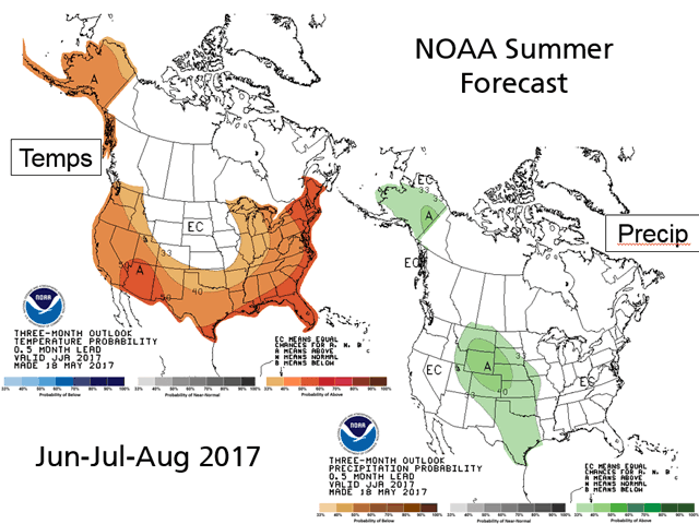 NOAA summer weather patterns feature generally warm temperatures along with near to above-normal precipitation. (CPC graphic by Nick Scalise) 