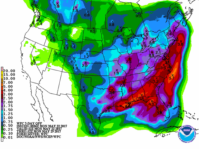Seven-day forecast precipitation is heavy east and south, but lighter north and west. (NOAA graphic by Nick Scalise) 