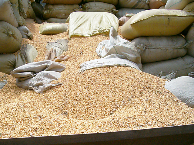Bags of U.S. soybeans in China. On Wednesday, China proposed increasing the tariff on soybeans from 3% to 28%.