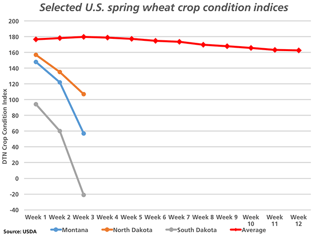 DTN&#039;s crop condition indices calculated from the most recent USDA crop condition ratings are plunging for Montana, North Dakota and South Dakota, which produce the bulk of the spring wheat. The upper red horizontal line represents the five-year average crop condition index for the entire U.S. spring wheat crop. (DTN graphic by Nick Scalise) 