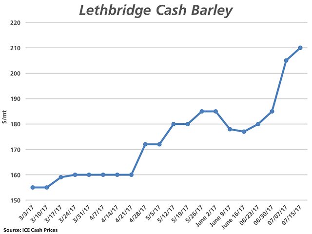 A sharp, unexpected rally has resulted in feed barley prices delivered Southern Alberta hitting levels near $210/mt from the $170s in mid-June, the highest price levels reported since May 2016. New-crop bids are even higher. (DTN graphic by Nick Scalise)