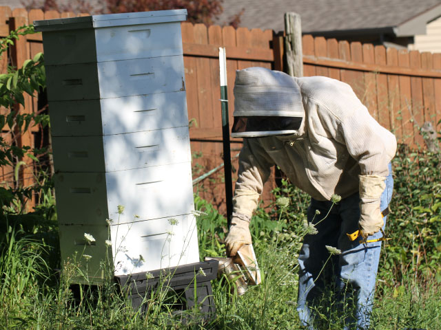 We&#039;ve learned to "bee" careful about stacking too many boxes (supers) because it led to a sticky situation. But there&#039;s good news in the bee business this year too. (DTN photo by Pamela Smith)
