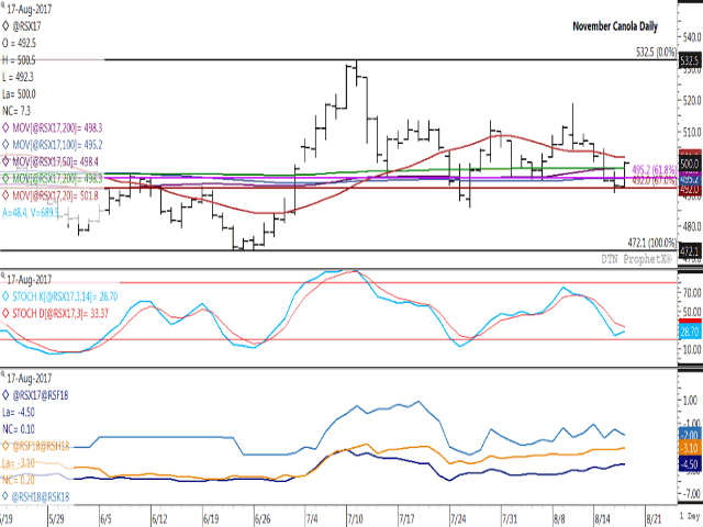 November canola closed near the mid-point of the range traded since July 13, closing at $500/mt in Thursday&#039;s trade. Over this period, the majority of closes have held above $500 and above the contract&#039;s 200-day moving average, calculated at $498.30/mt on Thursday. The second study shows noncommittal trade on the part of technical traders, with prices failing to reach overbought or oversold levels for over a month. The lower study shows continued supportive commercial trade as indicated by futures spreads. (DTN graphic by Nick Scalise)