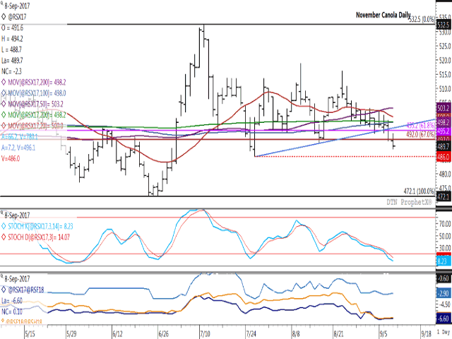 November canola lost $2.30/metric ton on Friday and $7.60/mt over the week, consistent with the crop&#039;s seasonal trend. Price moved below support this week, while nearing a test of the July 26 low of $486/mt (red dotted line). The middle study shows stochastic momentum indicators in oversold territory, which may slow technical selling. The lower study shows spreads close to unchanged over the week as commercial traders take a cautious approach to trade. (DTN graphic by Nick Scalise)