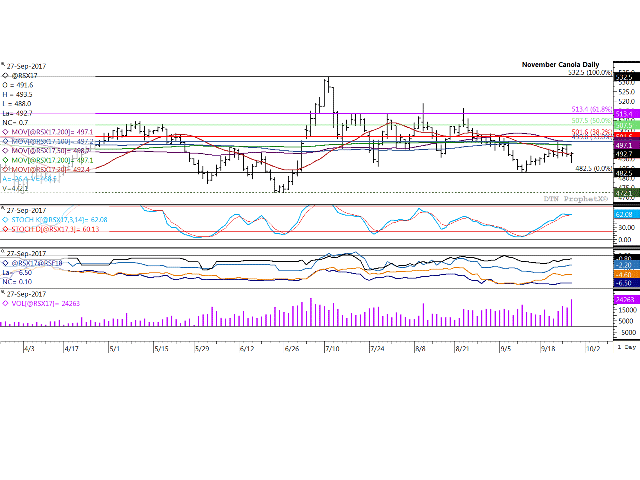 November canola recovered from session lows to finish $.70/mt higher at $492.70, with a sideways trend seen in momentum indicators on both the daily and weekly charts. Trade has remained within a $16/mt range for 14 consecutive sessions as buyers and sellers seek direction. The third study shows the Nov/Jan spread close to steady at minus $6.50/mt, while Wednesday&#039;s trade volume for the November contract was the second highest seen over the life of the contract. (DTN graphic by Scott Kemper)