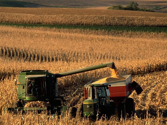 Western Midwest corn harvest, running about two weeks behind average, has a chance for better progress with a dry 10-day forecast. (DTN file photo)