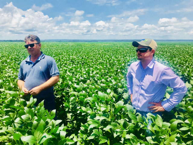 An informal survey of farmers in Mato Grosso indicates farmers expect strong yields again in the 2017-18 soybean crop. Amarildo Crystofoli (left) and his agronomist, Vitor Sanches, are happy with the soybean crop condition at his farm and believe that the yield will equate to 53.5 bushels per acre. (DTN photo by Lin Tan)