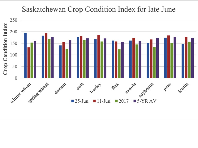 This is a look at the Crop Condition Index for selected Saskatchewan crops as of June 25 (blue bars), June 11 (red bars), June 26 2017 (green bars) and the five-year average for this week (purple bars). While winter cereals have shown a marked improvement over the past two weeks, most other crops have shown a slight decline while most indices remain higher than this time last year. (DTN graphic by Cliff Jamieson)