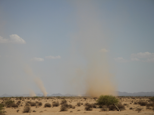 Multiple dust devils spin through the desert not far from Phoenix on Aug. 4, as temperatures climbed higher than 110 degrees Fahrenheit. (DTN photo by Elaine Shein)