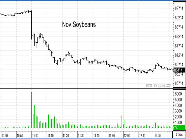 Soybean contracts on Aug. 10 hit peak trading at 11:00 a.m. Central Daylight Time. It&#039;s a similar reaction, likely driven by automated trading, as spikes seen prior to USDA changes in report release procedures. (DTN ProphetX Illustration)