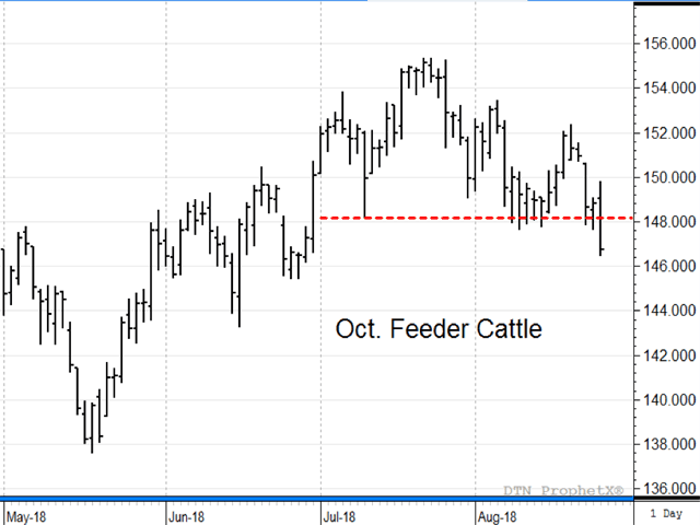 October feeder cattle have tried to push higher since mid-May but encountered resistance in late July, and broke below the July low on Friday, a bearish change in the short-term trend (DTN ProphetX chart).
