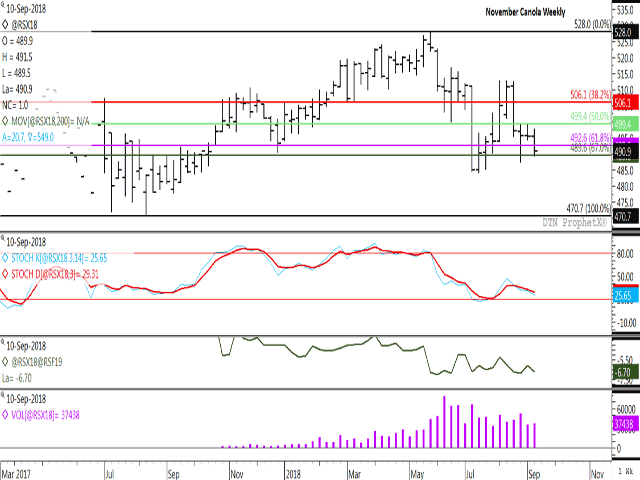 Canola closed lower for the fourth consecutive week, although held above lows reached in August as well as retracement support on the weekly chart. This week&#039;s close held above the 67% retracement line at $489.60/mt for the ninth consecutive week. (DTN ProphetX chart)