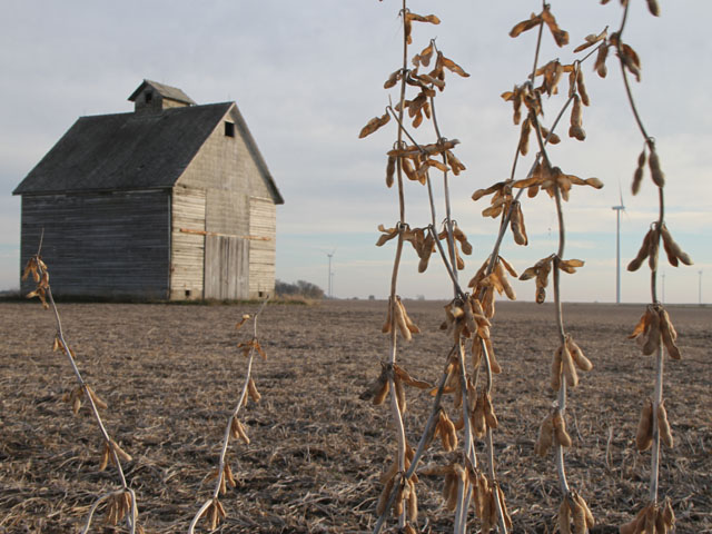 The U.S. soybean harvest is off to a good start, at 14 percent complete compared with 8 percent for the five-year average. (DTN photo by Pam Smith)  
