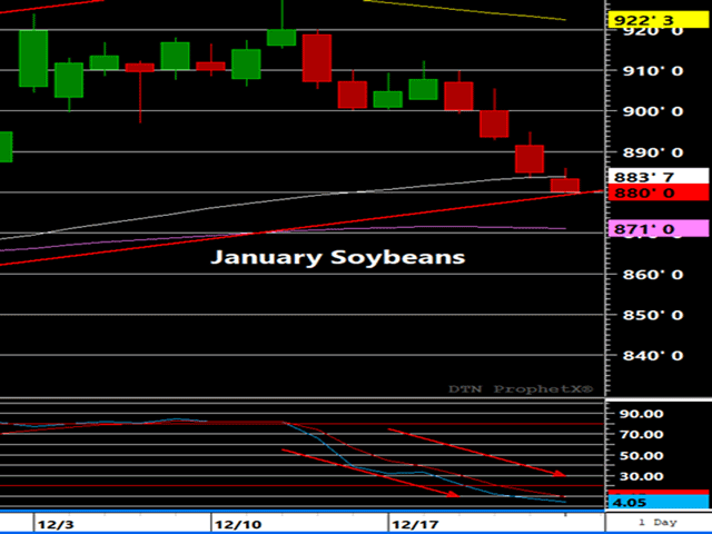 January soybeans are challenging the bottom end of their rising trend-channel near 8.80. Momentum indicators are still headed lower, highlighting just how weak the price action in this market is and in no way suggesting this contract is "oversold." Prices have just slipped below the 50-day moving average (white) and are just above the 100-day (pink).