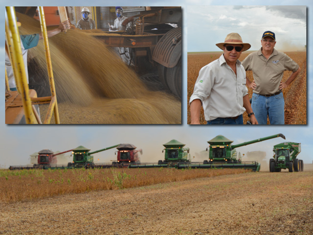 Top left: A worker dumps a freshly harvested load of soybeans for drying and storage at Grupo Morena, a farm near Parecis, Mato Grosso, Brazil. Top right: Romeu Morena (left), CEO and founder of Grupo Morena, and Ricardo Silva, another area farmer and local guide, check out soybean pods on Morena&#039;s farm near Parecis in Mato Grosso, Brazil. Bottom: A line of combines, both John Deere and Case-IH, roll across a 400-hectare field, (988 acres) this week, racing to beat an afternoon rain shower at the farm of Grupo Morena near Parecis, Mato Grosso. (DTN photos by Chris Clayton)