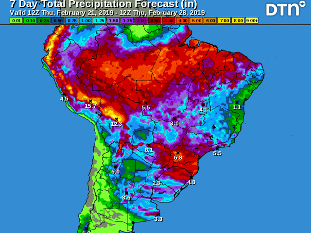 Widespread moderate to locally heavy rain remains in place over most of Brazil&#039;s crop areas through March 1. (DTN graphic) 