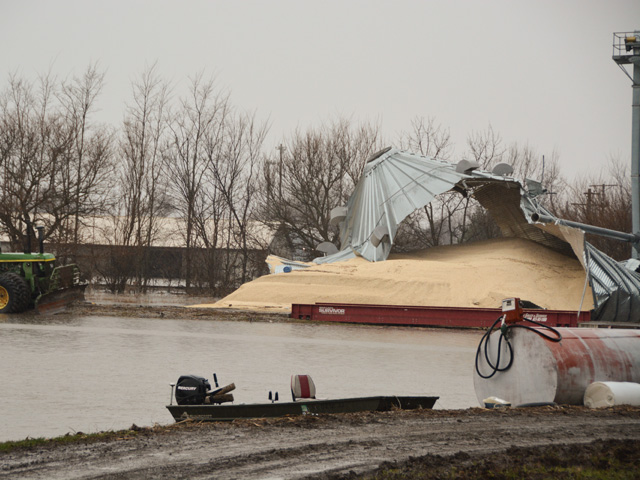 A busted grain bin with white corn in Hamburg, Iowa, last week. Without action from Congress, there will be no indemnity for such losses. (DTN photo by Chris Clayton)