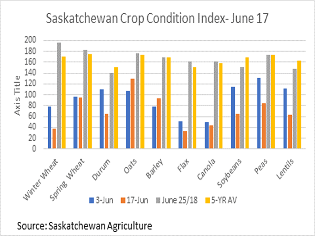 This chart shows the crop condition index for select Saskatchewan crops based on government crop condition estimates. The blue bars represent the June 3 index, the brown bars represent the June 17 index, the grey bars represent the index calculated for the last week of June in 2018 and the yellow bars represent the five-year average for late June. (DTN graphic by Cliff Jamieson)