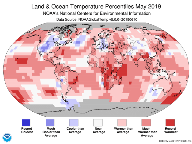 A graphic look at global temperatures for May 2019 features many areas in red -- indicative of global warmth that was the fourth highest on record. (DTN graphic)  