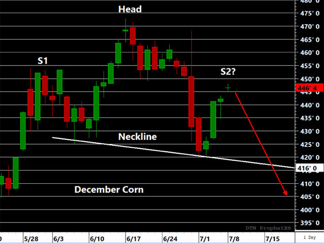 A possible head-and-shoulders pattern is setting up in December corn, which could be projecting sharply weaker prices if confirmed by trade through the neckline.