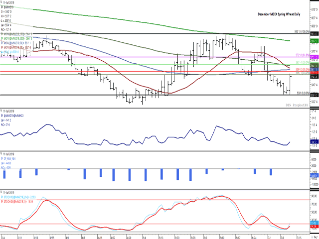 December spring wheat futures closed 12 1/2 cents higher this session, printing a bullish outside reversal bar on the daily chart and reaching a six-day high. The first study points to supportive commercial activity behind the move, likely joined by noncommercial short-covering. (DTN ProphetX chart)