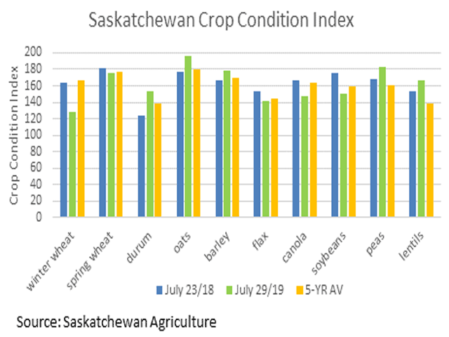The green bars represent the crop condition index for selected Saskatchewan crops as of July 31, which compares to the last week of July 2018 (blue bars) and the five-year average for late July (brown bars). Condition ratings point to steady improvement since mid-June for major crops. (DTN graphic by Cliff Jamieson)