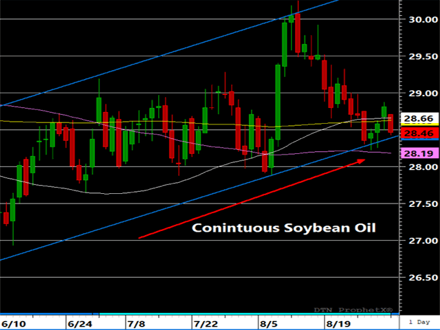 Soybean oil respected the rising trend channel support, which dates back to mid-May on last week&#039;s test. Near-term resistance exists at the 50- and 100-day moving averages. (DTN ProphetX chart)