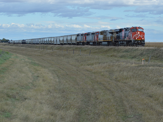 A CN grain train near Rosetown, Saskatchewan prior to the 2019 strike. (DTN photo taken by Cliff Jamieson)