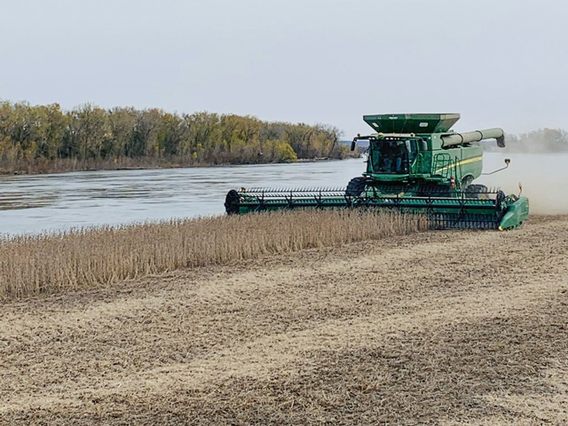 Quentin Connealy harvests a soybean field that was under water in March when the Missouri River flooded. "We were able to get most everything planted between April 24 and June 10," Connealy said. "With a second flooding coming June 1, the river took some of our planted and non-planted ground again. The next round of flooding was the mid to end of September." (Photo courtesy of Quentin Connealy) 