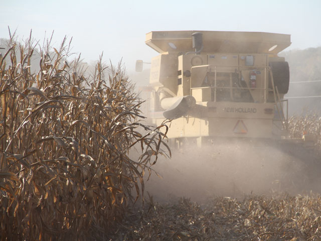 Avoid inhaling dust during harvest. (DTN photo by Elaine Shein)