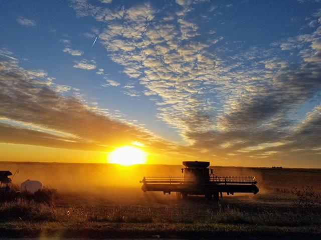 The MyHarvest 2021 Photo Contest is your chance to show off your photographic skills and share your harvest memories. (Photo by 