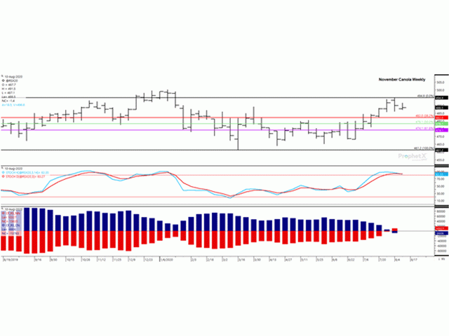 The November canola weekly chart shows a potential chart reversal for the week of Aug.4, the first weekly loss seen in six weeks. The first study shows the stochastic momentum indicators potentially rolling over to trend lower. The histogram on the lower study shows investors turning bullish in the past week (red bars), while commercial traders (blue bars) moved from a bullish net long to a bearish net-short position. (DTN ProphetX chart)