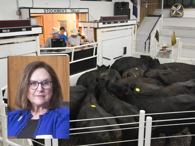 Sen. Deb Fischer, R-Neb., spearheaded the Cattle Price Discovery and Transparency Act in the last Congress. (DTN file photo) 
