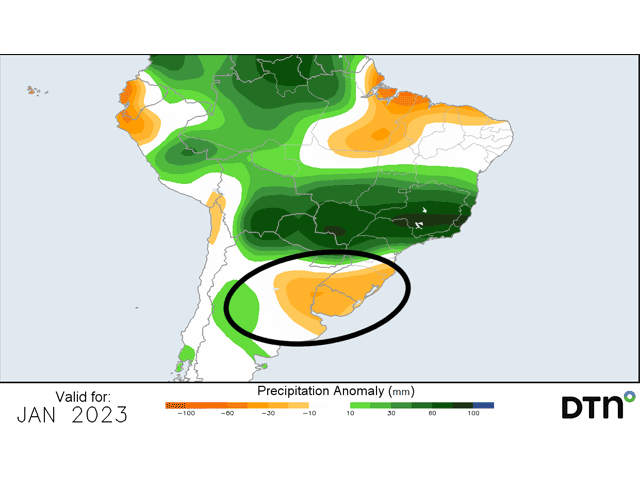 The precipitation forecast for Argentina and far southern Brazil continues to paint a poor outlook for the regions developing crops. (DTN graphic)