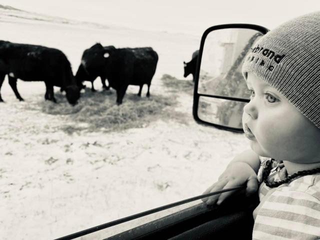 Money comes and goes, but nurturing a love and passion for the land and livestock that we&#039;re blessed to care for is an immeasurable blessing. (DTN photo by ShayLe Stewart)