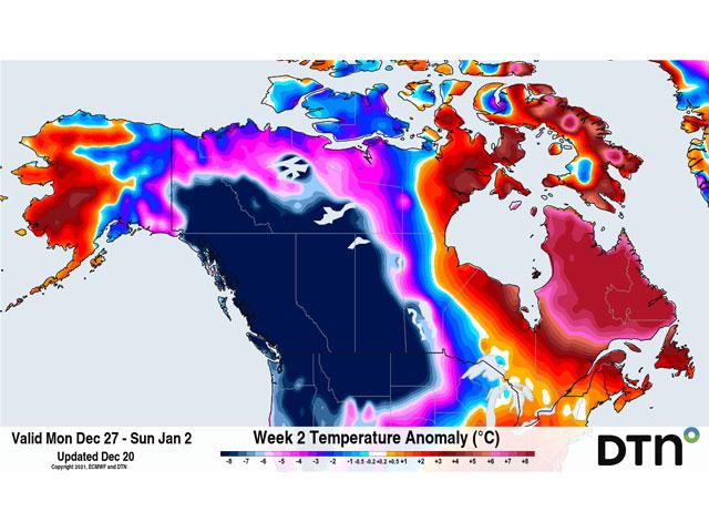 Cold weather will build into North America during the next two weeks as the polar vortex gets stuck across the continent. Meanwhile, a ridge in the southern U.S. will do its best to repel the cold. (DTN graphic)