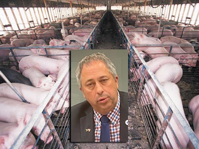 Terry Wolters, owner of Stoney Creek Farms in Pipestone, Minn., and president of the National Pork Producers Council, said more than 100 members had visited with members of Congress and asked for more funding to fight African swine fever (AFS) which has appeared in the Dominican Republic. Still, NPPC&#039;s concerns about labor and immigration faced challenges on Capitol Hill. (DTN image from photo by Jerry Hagstrom) 
