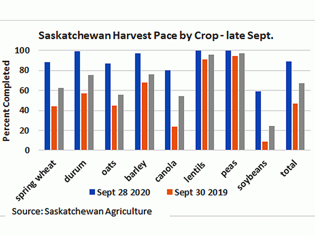 The blue bars show the current pace of the Saskatchewan harvest by crop, when compared to last year&#039;s pace as of late-September (brown bars) and the five-year average (grey bars). Looking at the largest crops, spring wheat is 88% harvested and canola is 80% harvested as of Sept. 30. (DTN graphic by Cliff Jamieson)