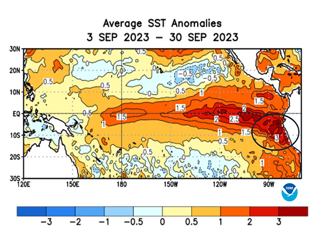 Sea surface temperatures in the eastern equatorial Pacific Ocean going into October are well into the El Nino category, with a maximum of 3 degrees Celsius above normal off the South America coast. (NOAA/CPC graphic)
