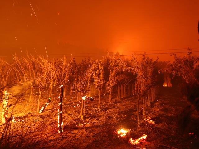 The Chateau Boswell Winery burns as the Glass Fire moves through the area on Sept. 27, 2020, in St. Helena, California. (Photo by Justin Sullivan/Getty Images)