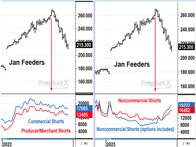 CFTC data show the recent selling in feeder cattle came largely from specs holding short put options and not from the insurance companies participating in USDA&#039;s Livestock Risk Protection program or other commercial interests. (DTN ProphetX chart by Todd Hultman)