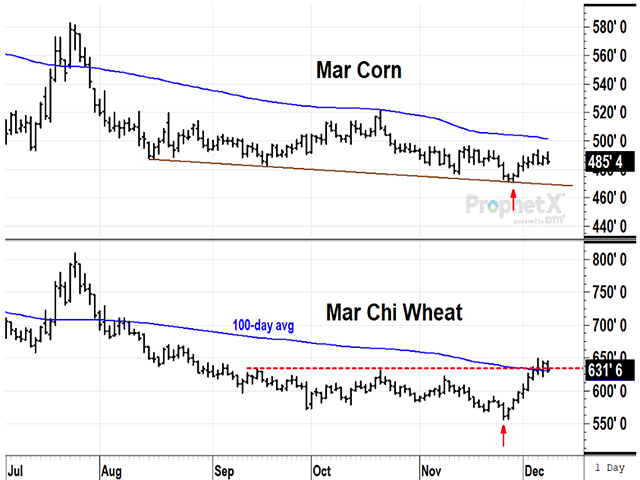 Both March corn and March Chicago wheat rebounded from recent lows in November, but it is not clear yet if demand is strong enough for the price of either one to break above resistance. (DTN ProphetX chart by Todd Hultman)