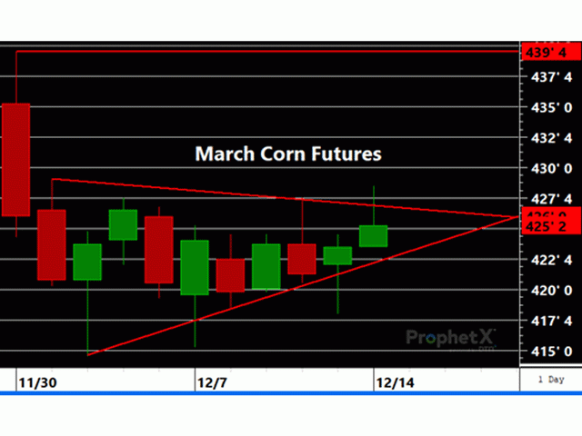 March corn futures are consolidating inside recent price action but appear to be priming for a breakout in coming sessions.